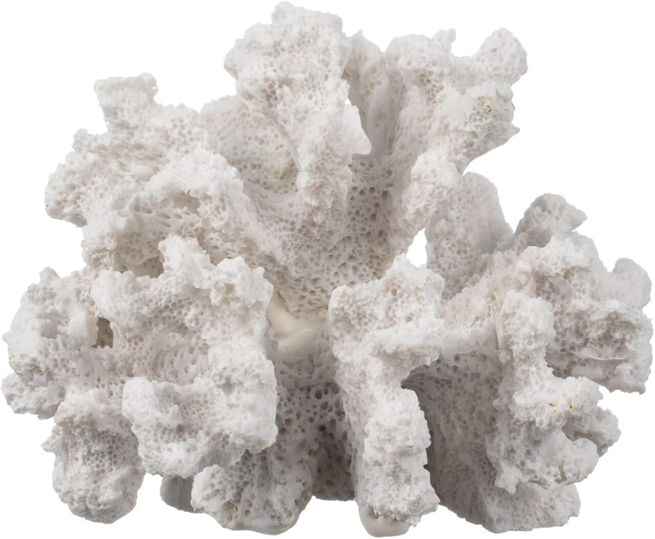 Decorative Sea Coral White Medium Coral 3.5in T x 4.5in W x 4in D Faux Coral Reef Décor Resin Coral Décor White Coral Decoration Coral Branch Décor